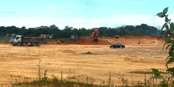 Thông tin từ đường dây nóng